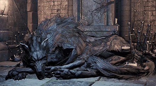 Old Wolf Of Farron