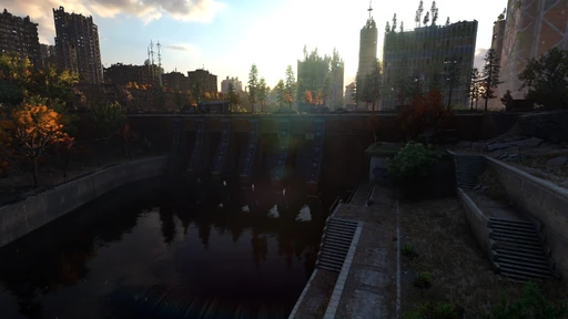 Dam