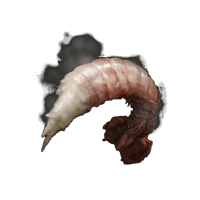 Boiled Prawn