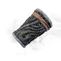 Champion Bracers