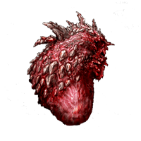 Dragon Heart