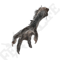 Four toed Fowl Foot