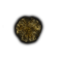 Golden Rune 10