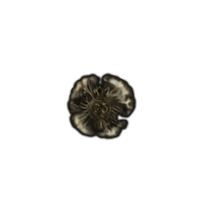 Golden Rune 5