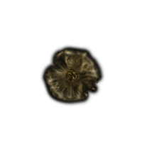 Golden Rune 7
