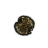 Golden Rune 8