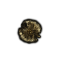 Golden Rune 9