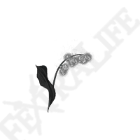 Grave Glovewort 1
