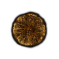 Hero's Rune 1