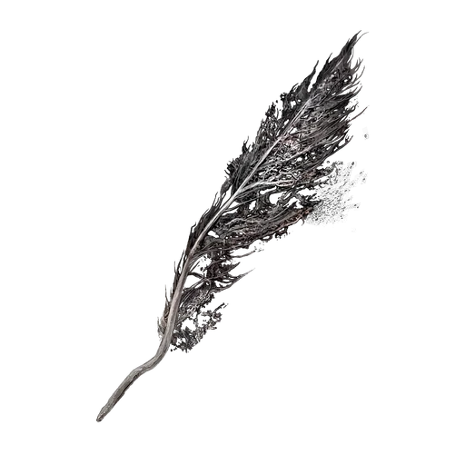 Hidden Plumage