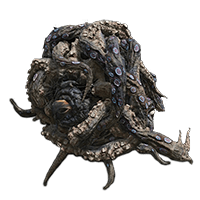 Octopus Head