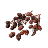 Rowa Raisin