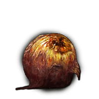 Shabriri Grape
