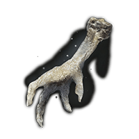 Silver pickled Fowl Foot