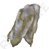 Strip Of White Flesh