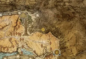 location of Twinbird Kite Shield