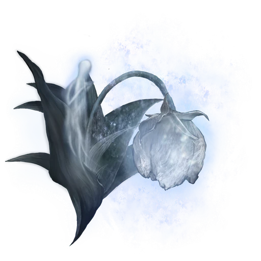 Spirit