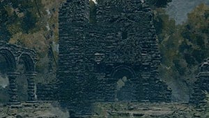 Demi human Forest Ruins