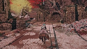Forsaken Ruins
