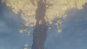 Minor Erdtree weeping Peninsula