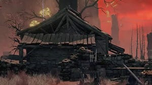 Shack Of The Rotting