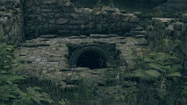 Witchbane Ruins