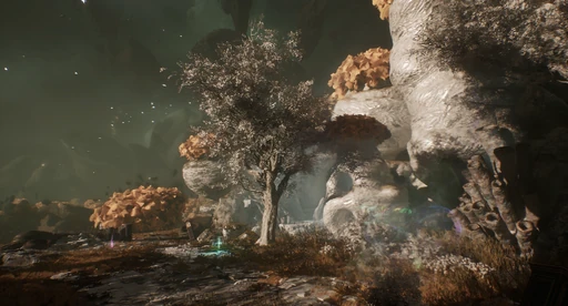 White Tree