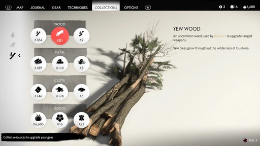 Yew Wood