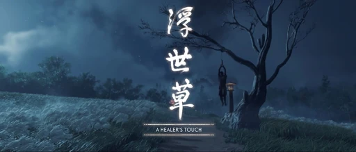 A Healers Touch