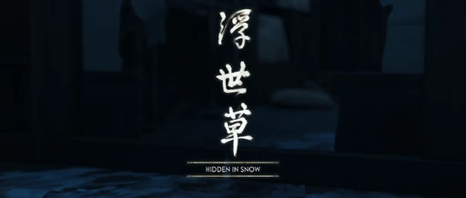 Hidden In Snow