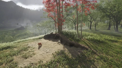 Fox Den