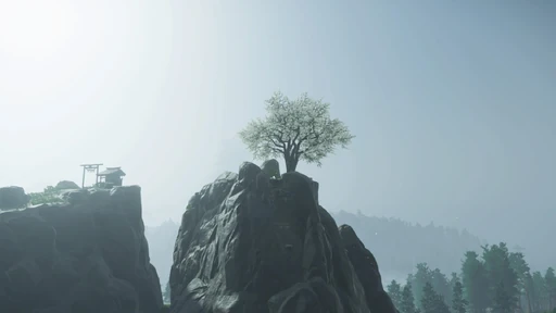 Plum Blossom Shrine