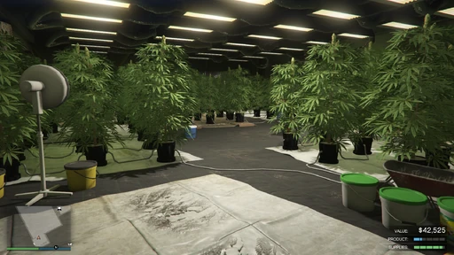 MC Weed Farm