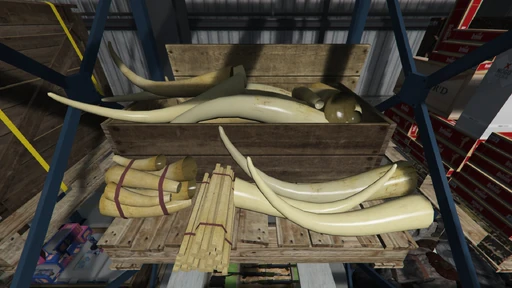 Special Cargo Warehouse
