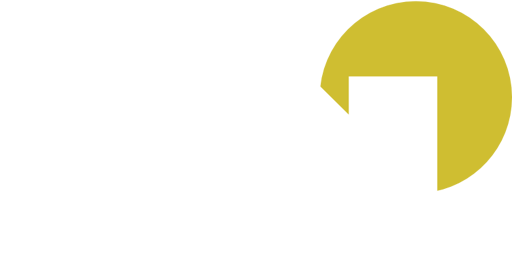 Dynasty 8