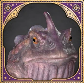Toad