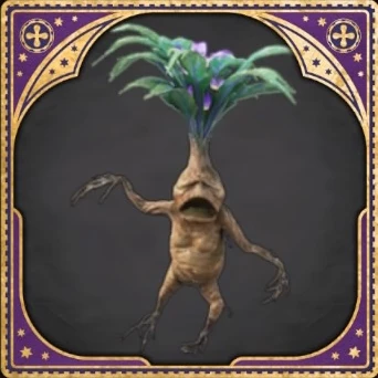Mandrake
