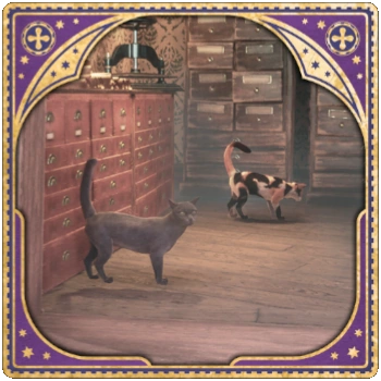 Scrivenshaft Cats
