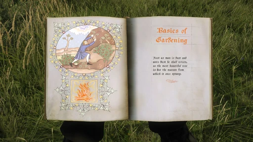 Basics Of Gardening
