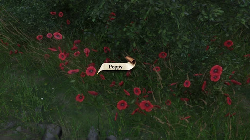 Poppy