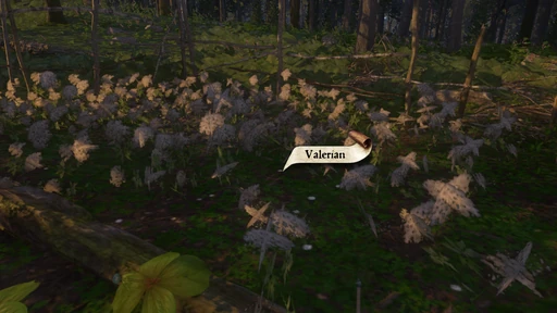 Valerian