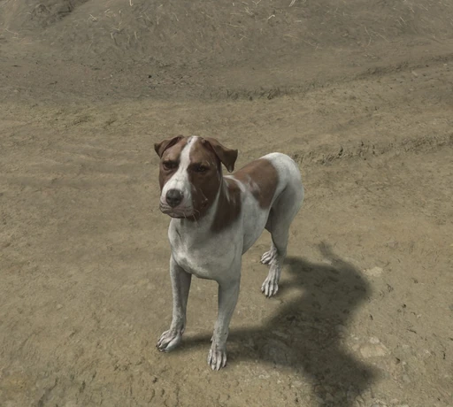 Mutt
