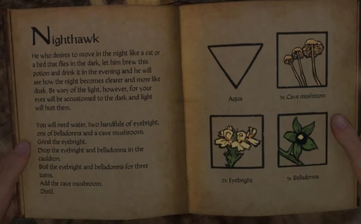 Nighthawk