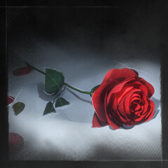 The Roses Memory