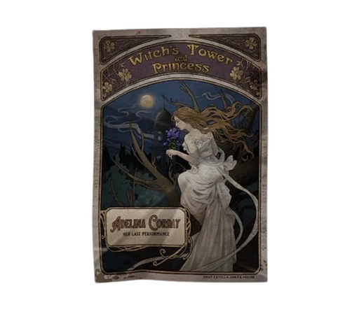 The Witchs Tower And Princess Poster