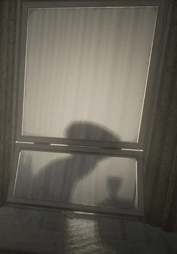 Old Lady At The Window