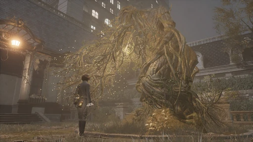 Gold Coin Tree