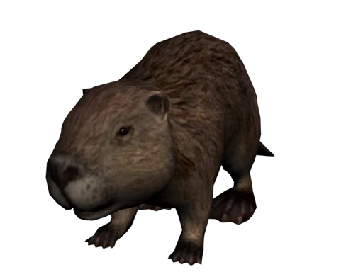 Beaver