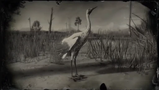 Crane
