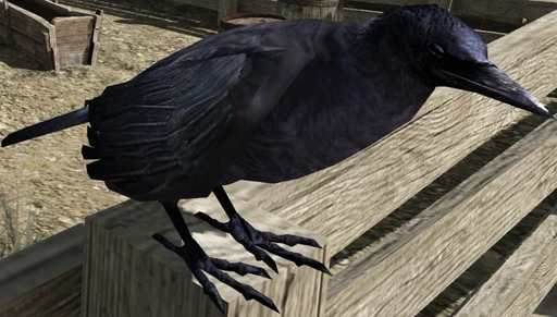 Crow